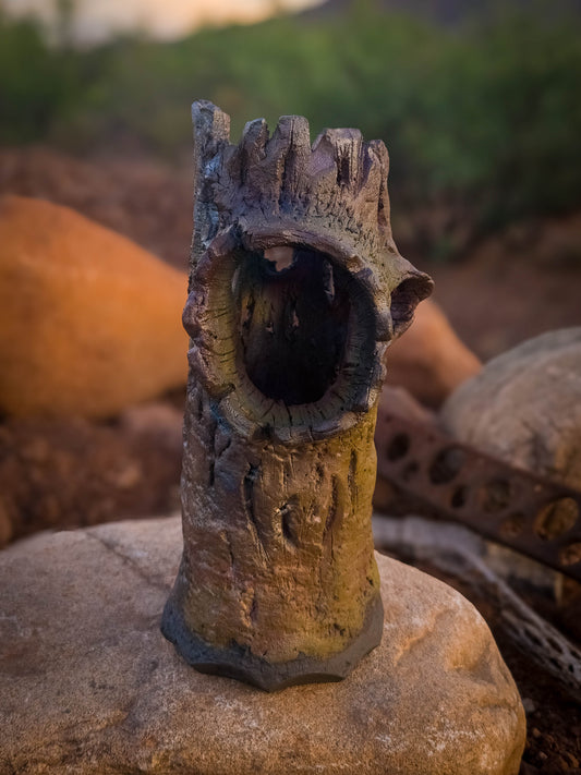 Bones of the Desert #1