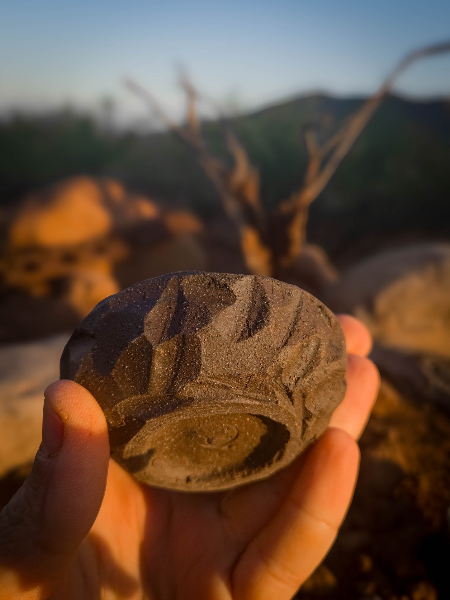 Relic Dish • Maker’s Pick by Dirt Creature Pottery