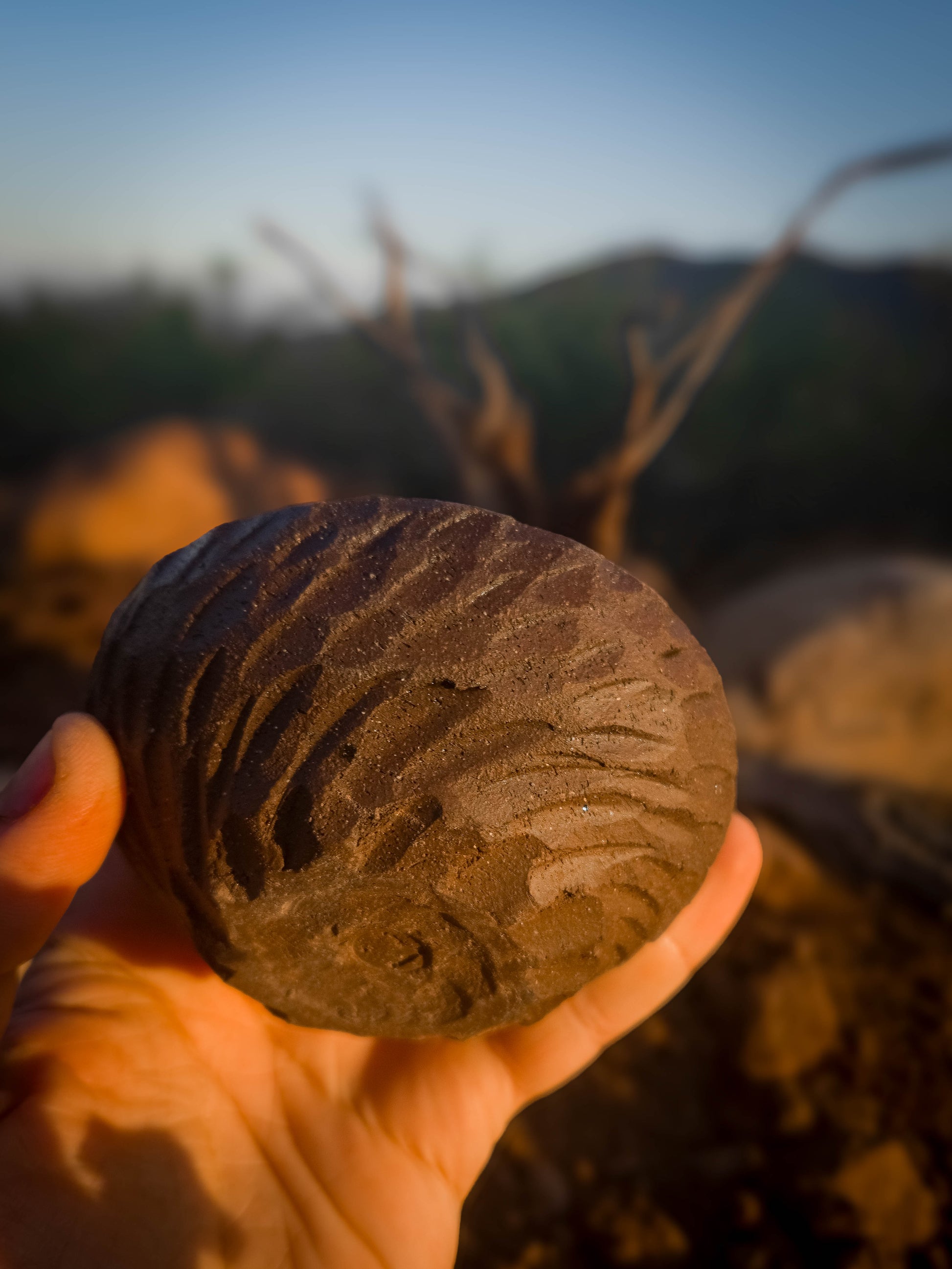 Relic Dish • Maker’s Pick by Dirt Creature Pottery
