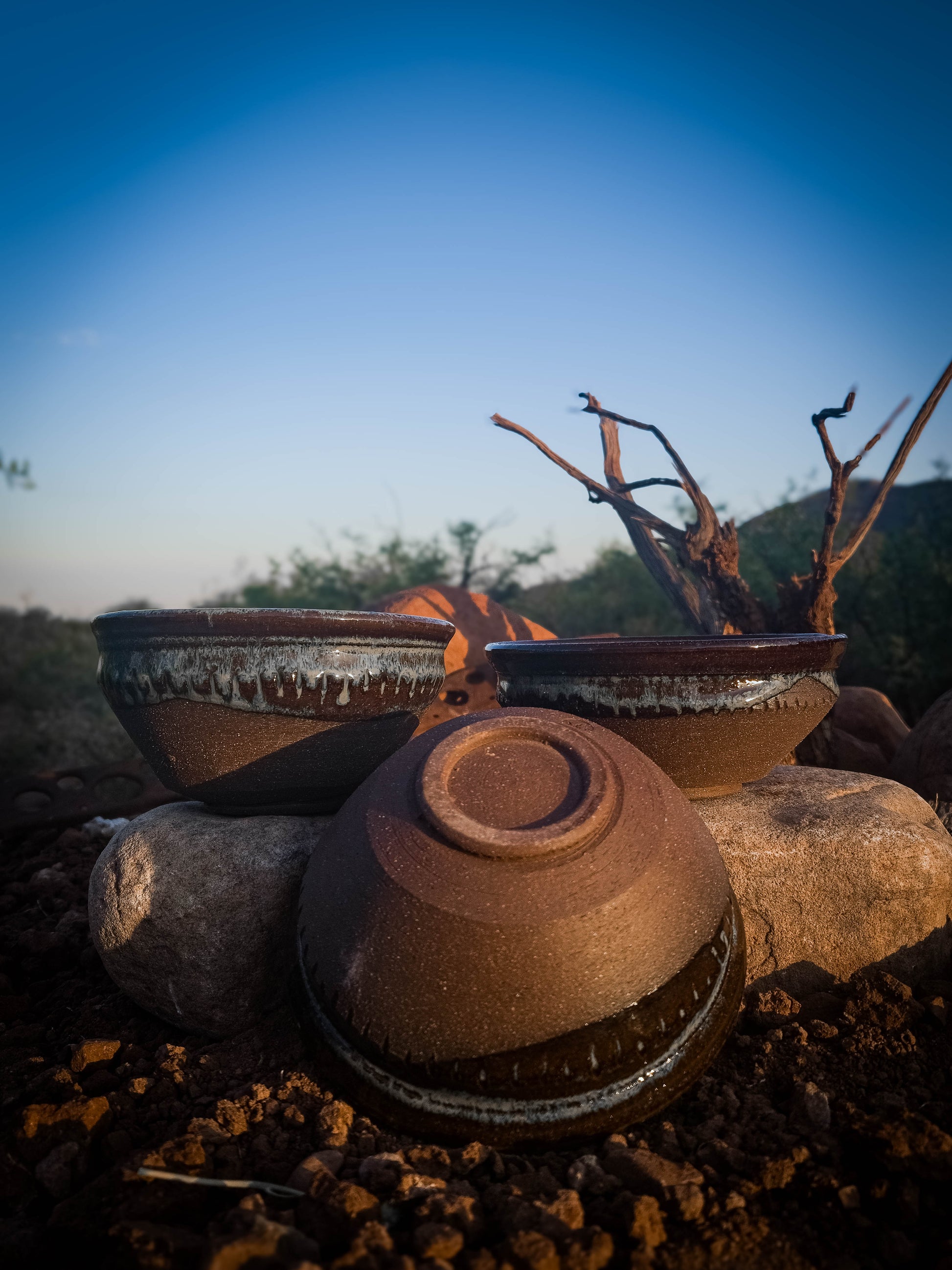 Found Water Bowl (Set of 2) by Dirt Creature Pottery
