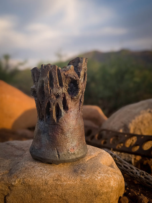 Bones of the Desert #3