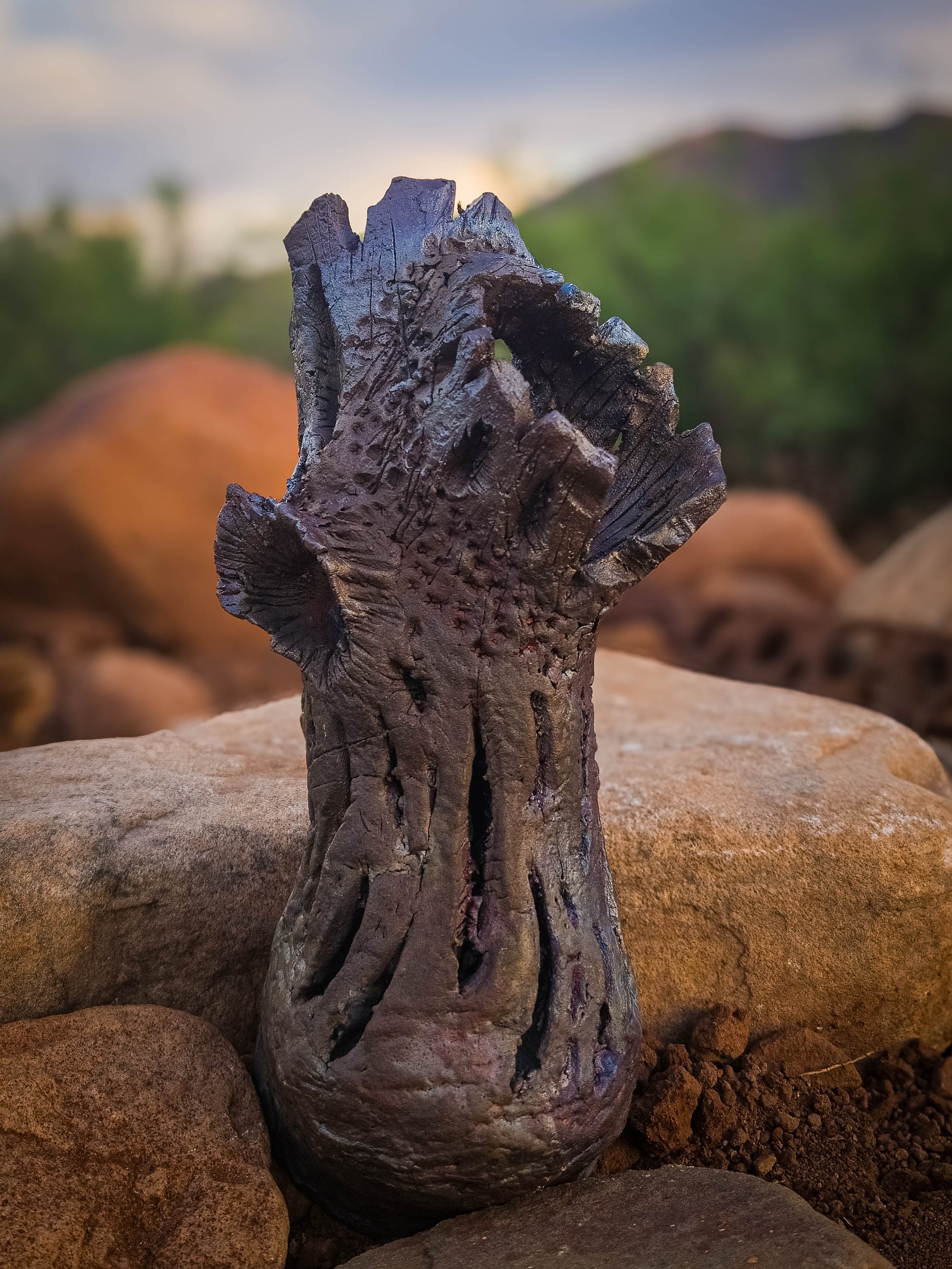 Bones of the Desert • Wall Hanger by Dirt Creature Pottery
