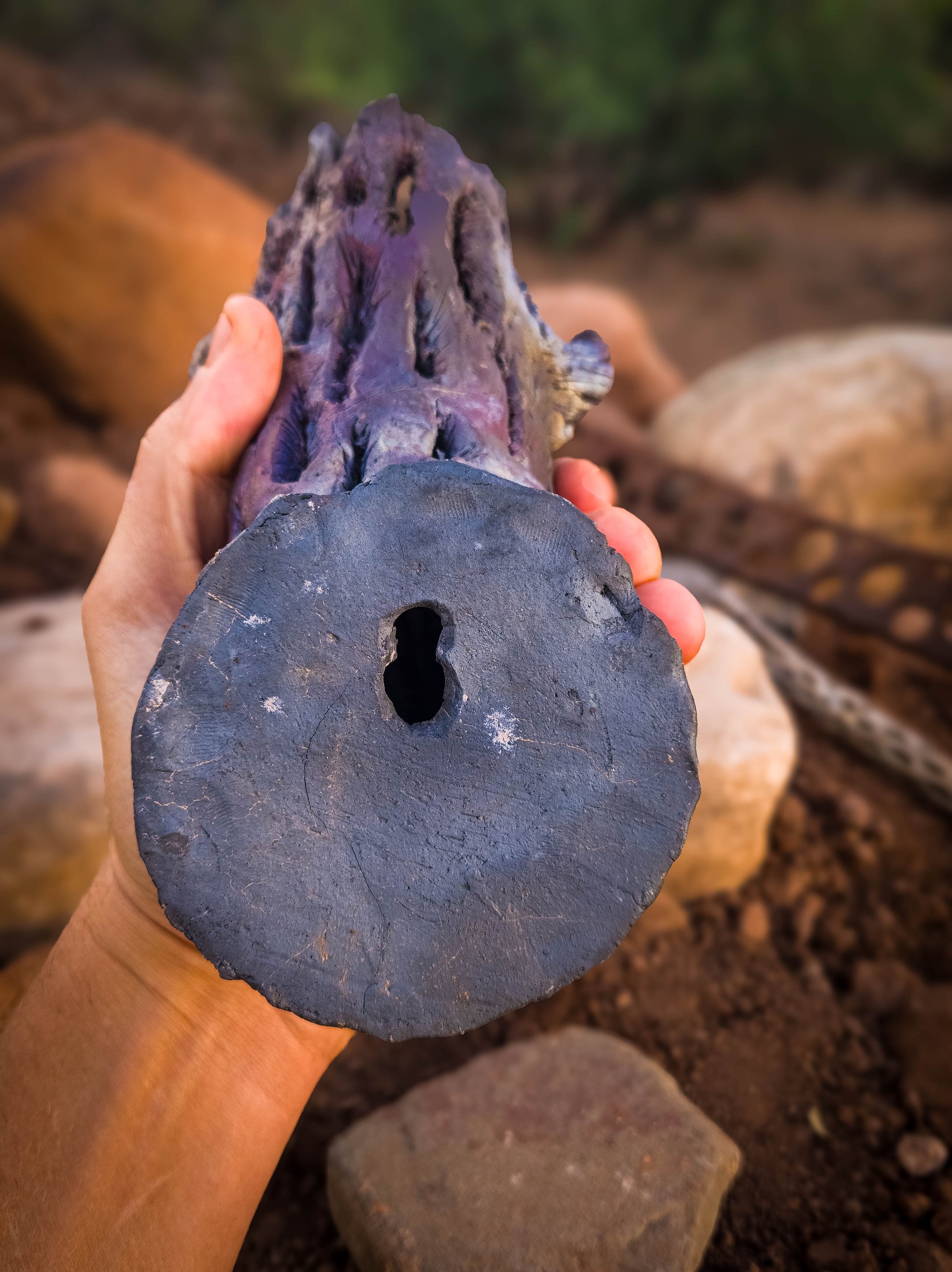 Bones of the Desert • Wall Hanger by Dirt Creature Pottery