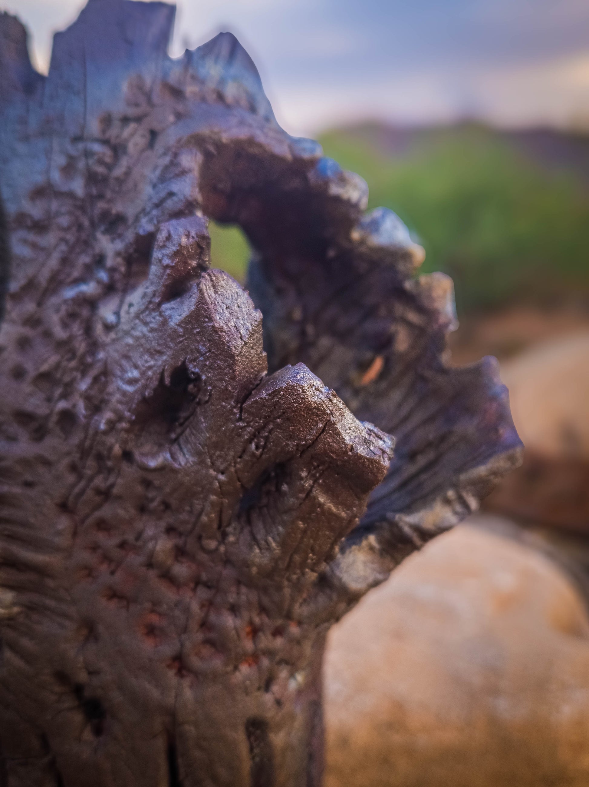 Bones of the Desert • Wall Hanger by Dirt Creature Pottery