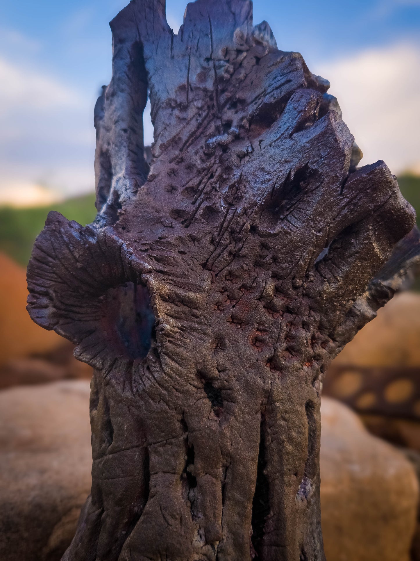 Bones of the Desert • Wall Hanger by Dirt Creature Pottery