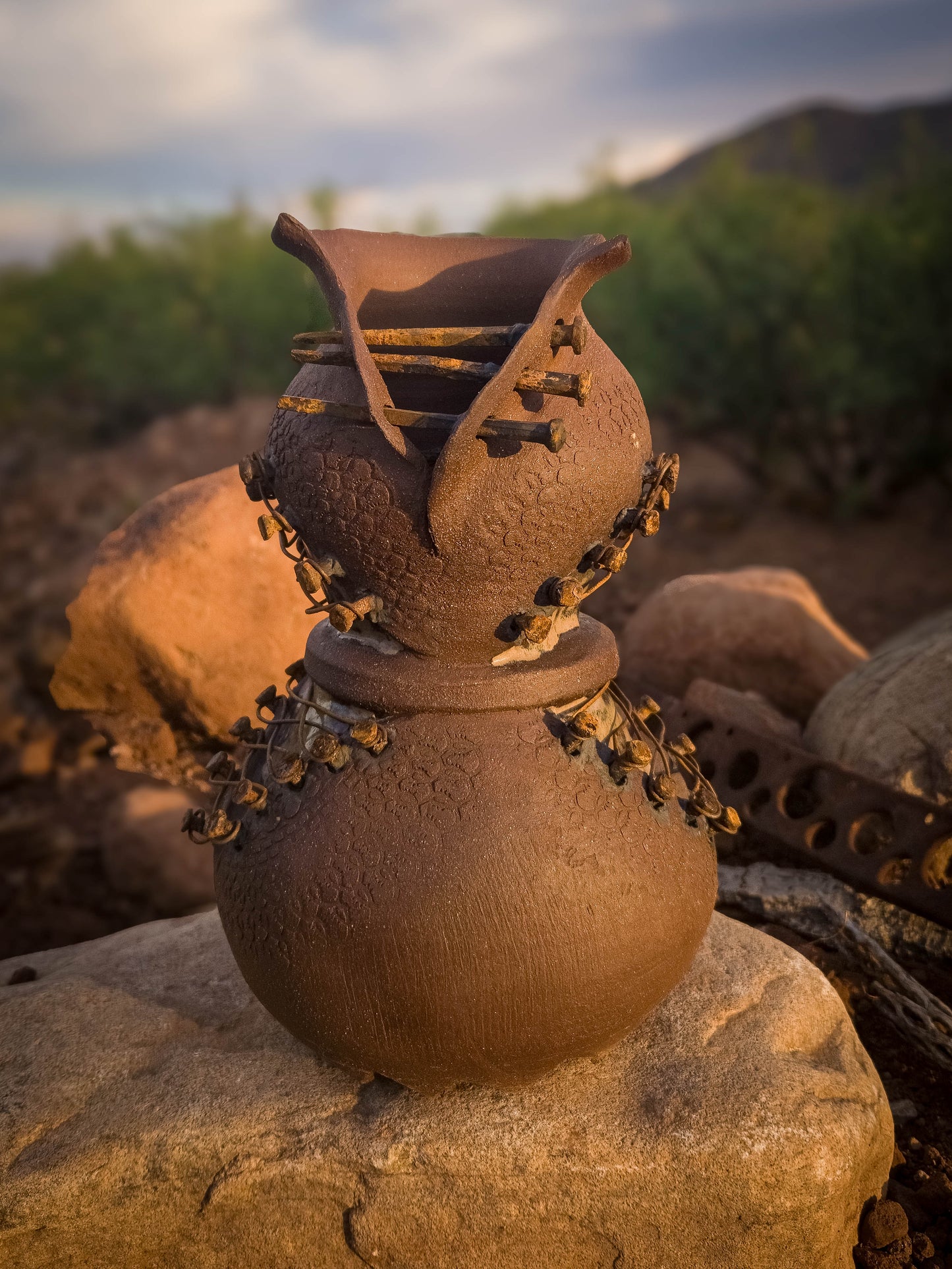Rust Becoming • Steel Lace by Dirt Creature Pottery