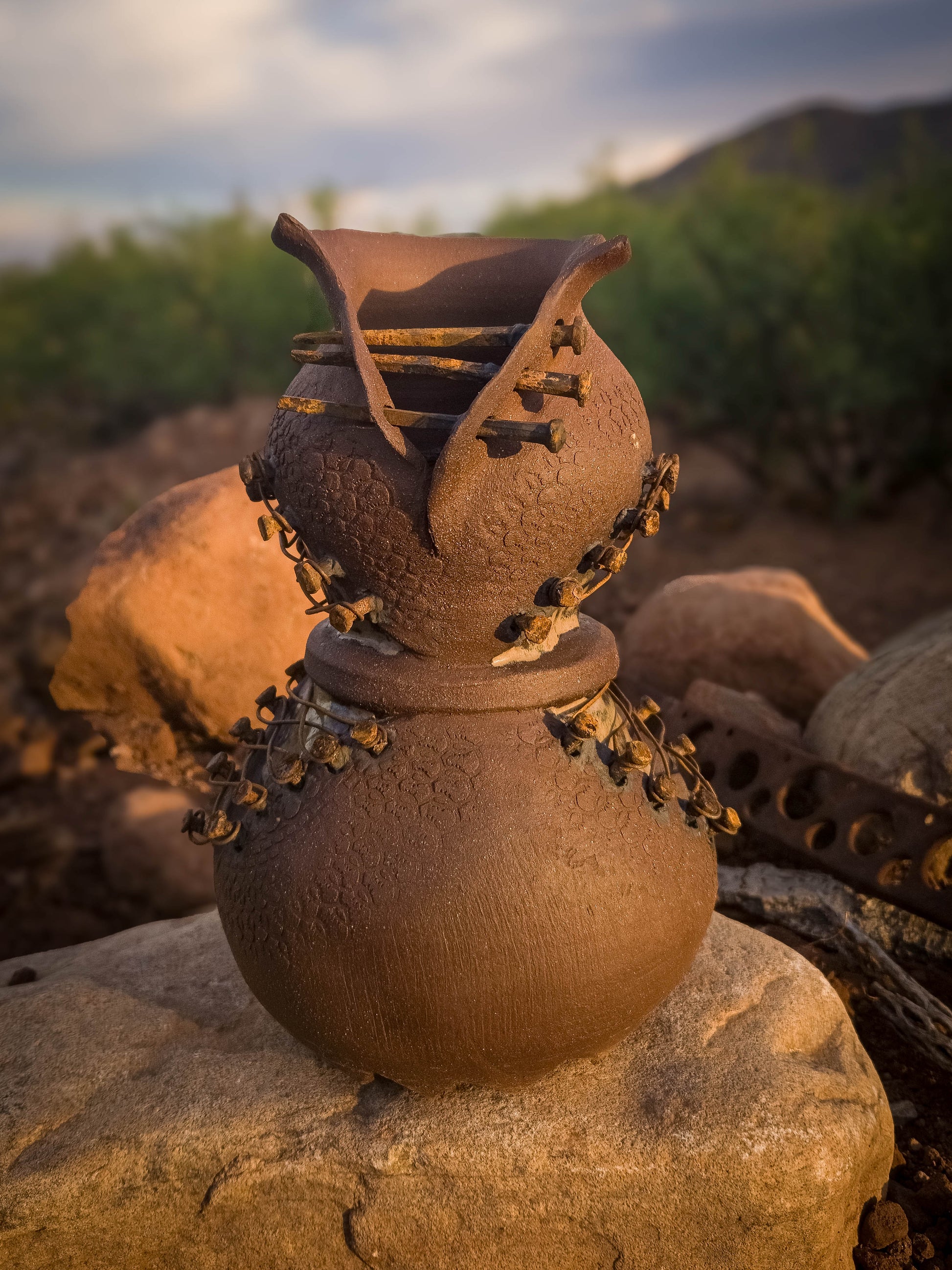 Rust Becoming • Steel Lace by Dirt Creature Pottery