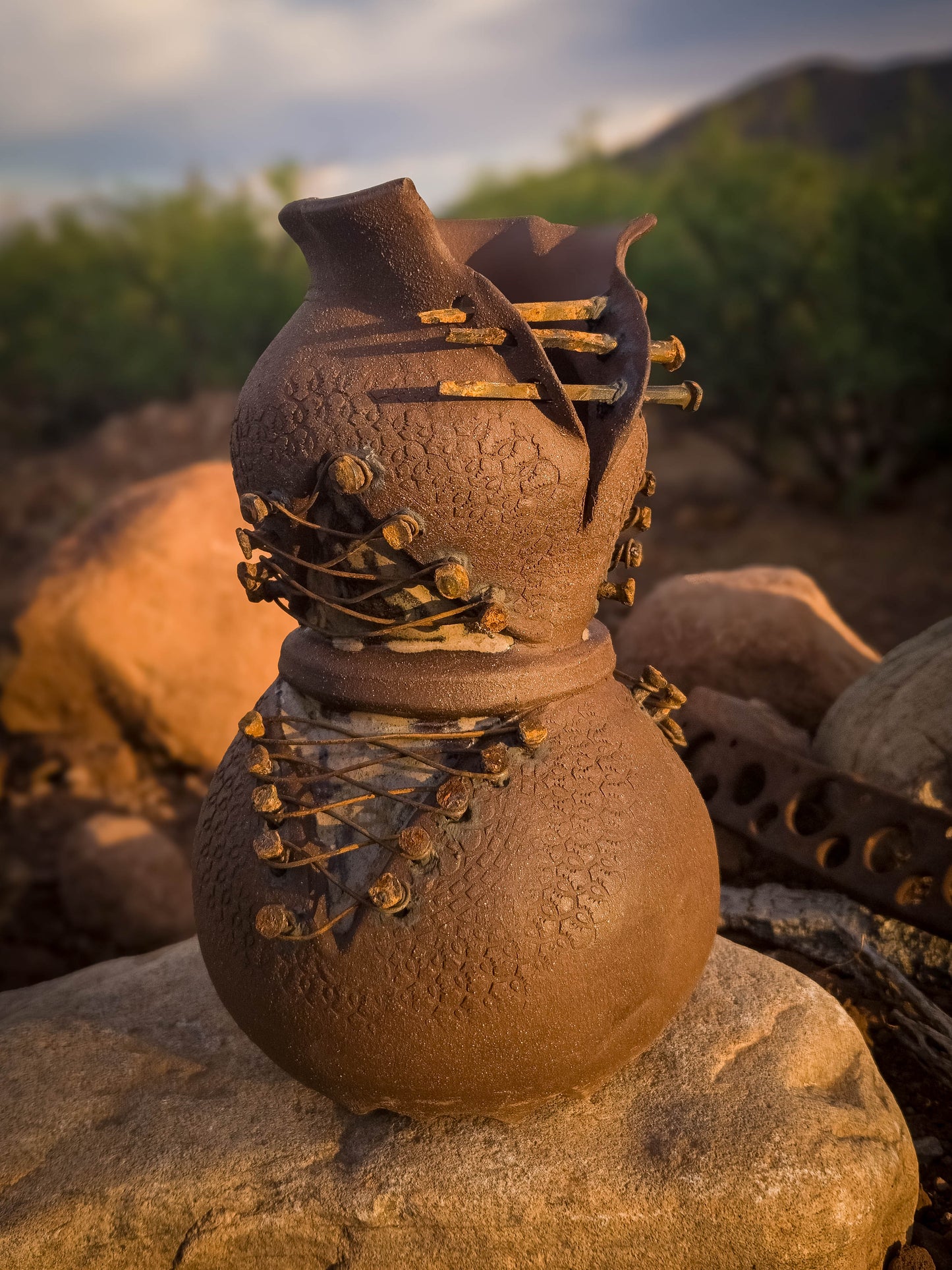 Rust Becoming • Steel Lace by Dirt Creature Pottery