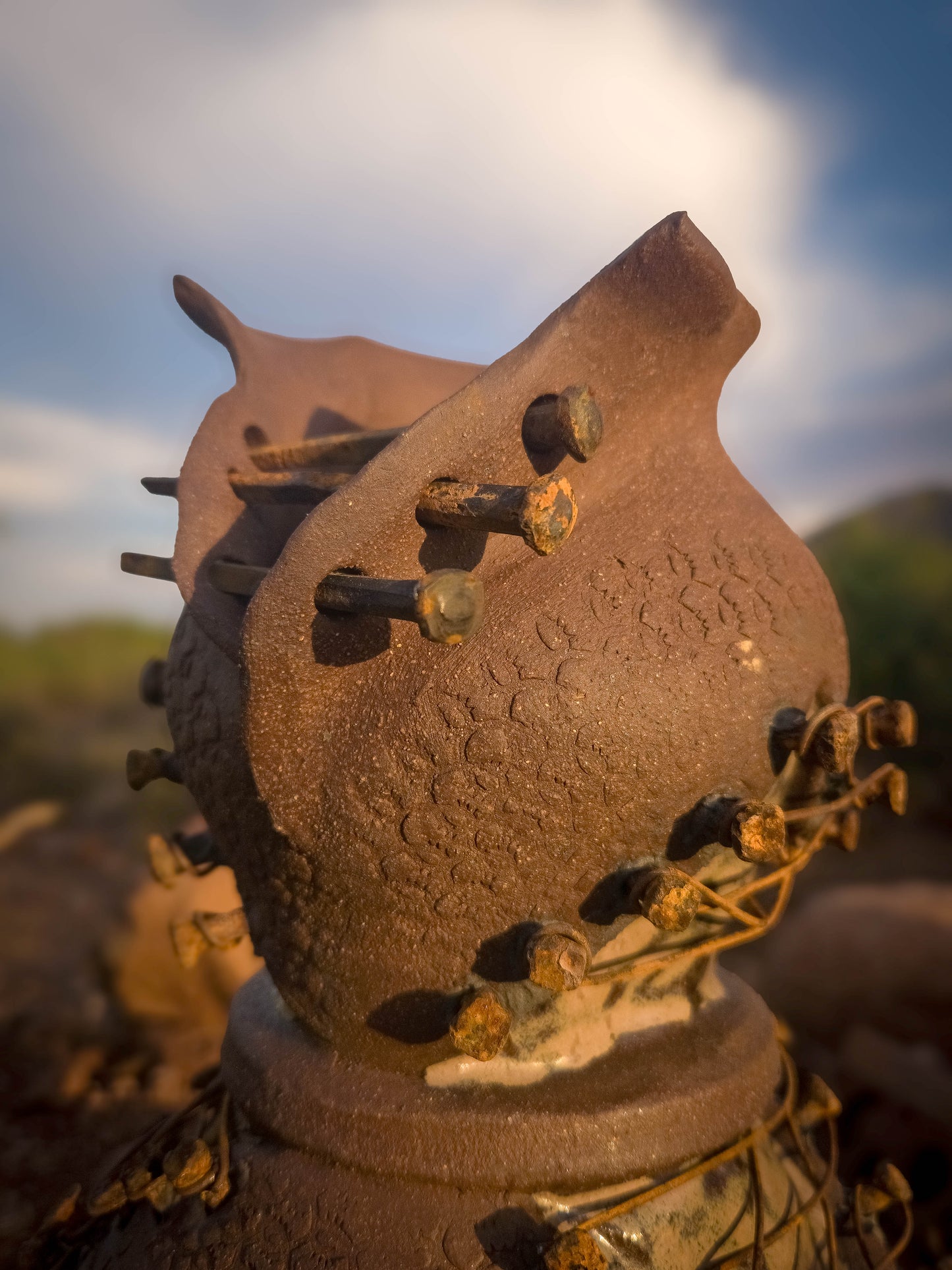 Rust Becoming • Steel Lace by Dirt Creature Pottery