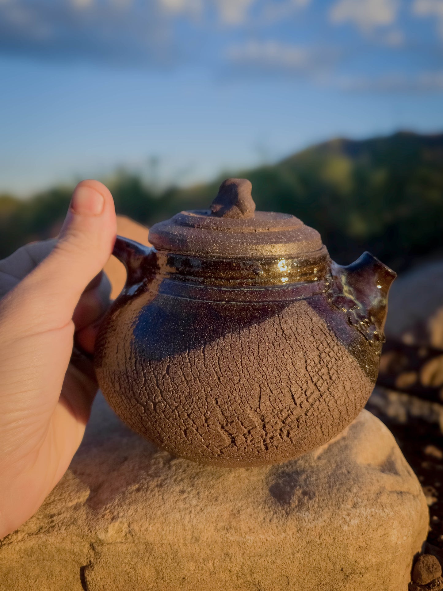 Desert Crackle Teapot #3 by Dirt Creature Pottery