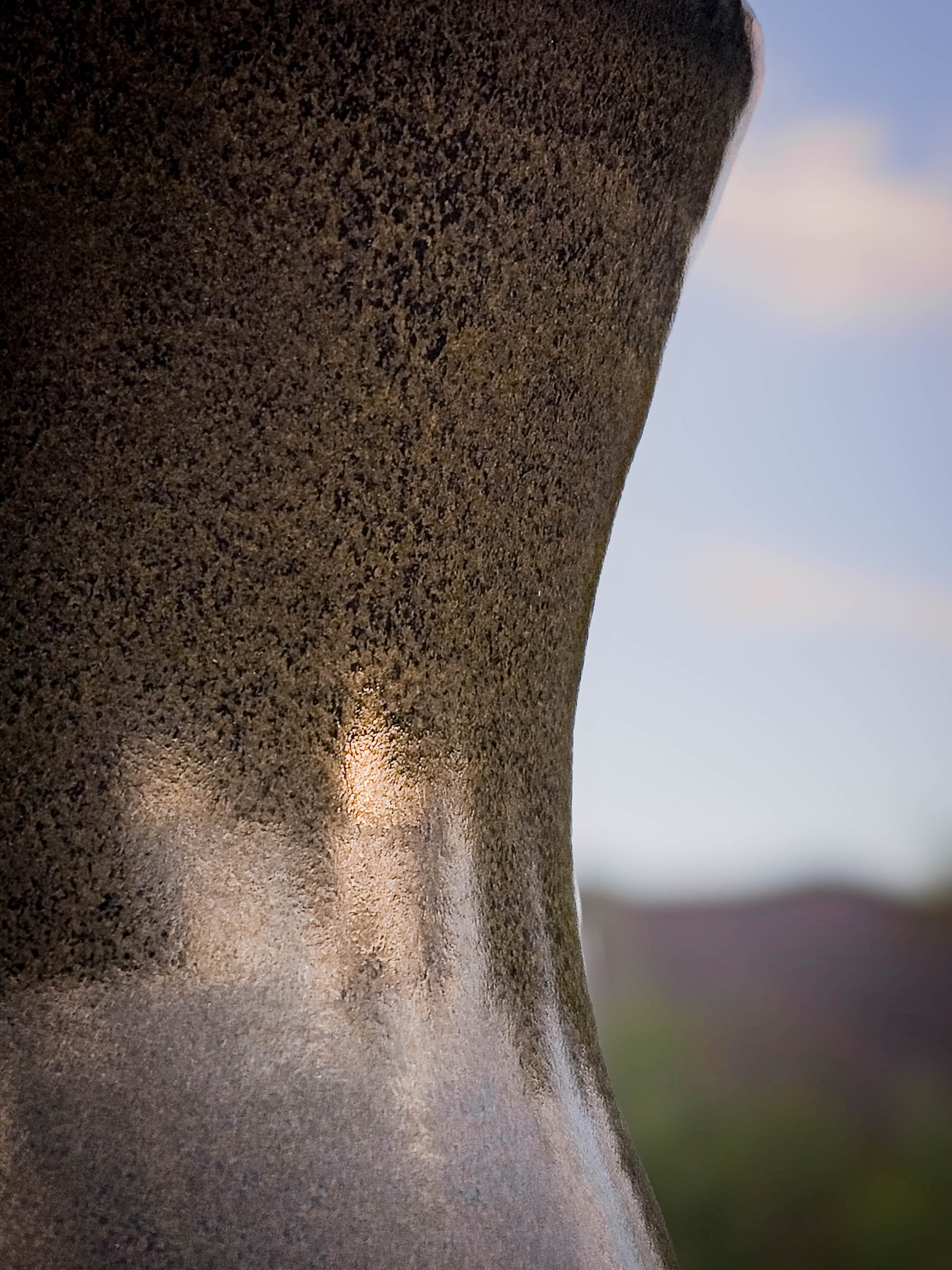 Desert Verdigris Vase #3 by Dirt Creature Pottery