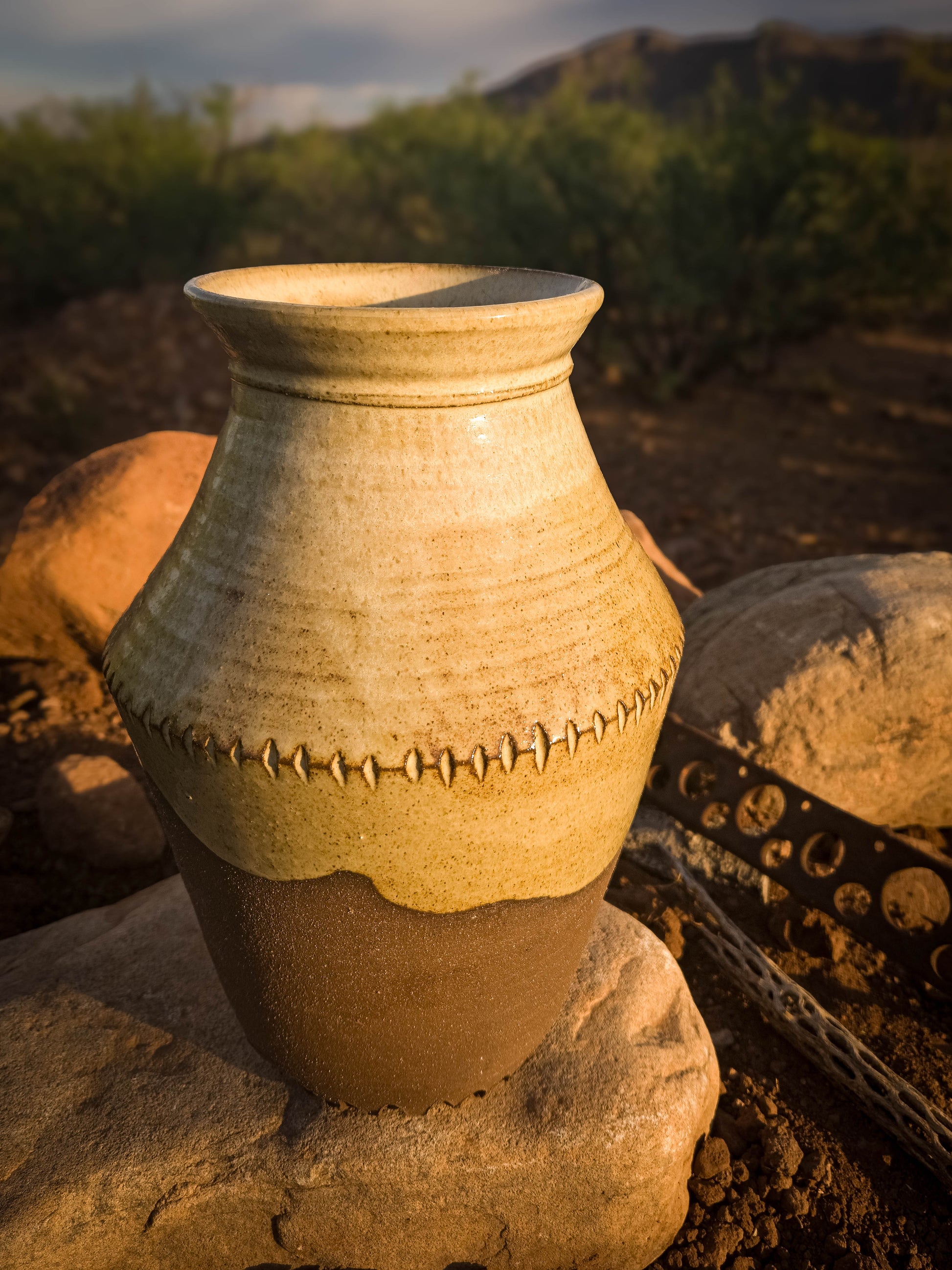 Desert Sacaton Vase by Dirt Creature Pottery
