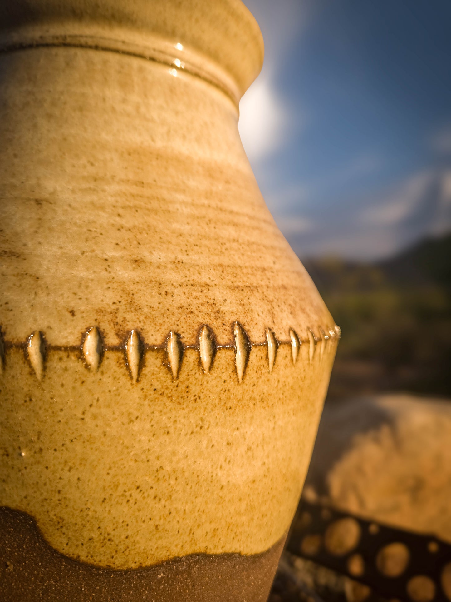 Desert Sacaton Vase by Dirt Creature Pottery